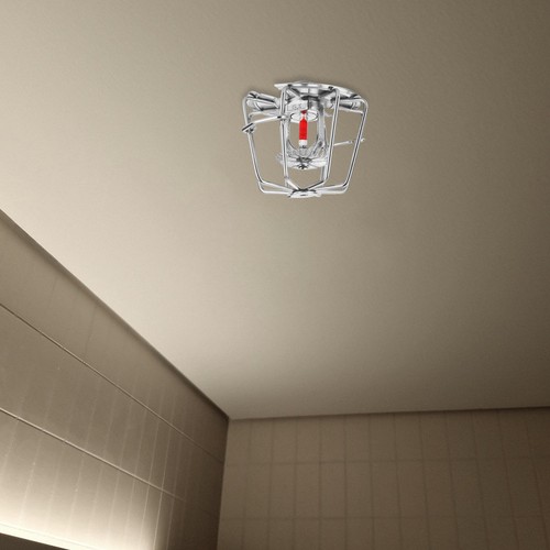 Fire sprinkler protective - fire,