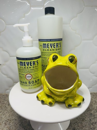 Vintage ceramic frog sponge - ceramic,