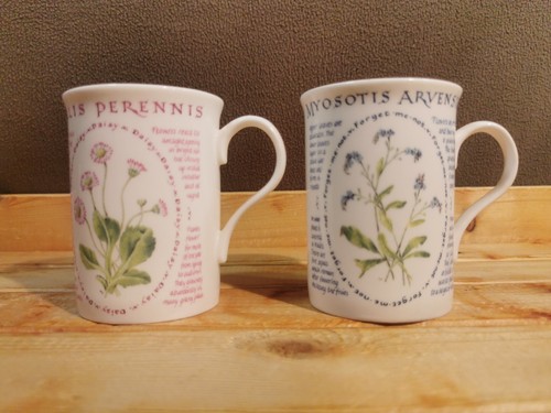 Two national trust fine - national,