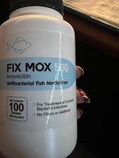 FOR FISH Aquariums & FISH
