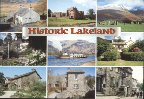 Salmon cameracolour postcard - salmon,