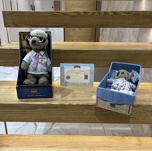 Compare the meerkat sergei - compare,