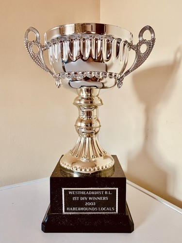 Big silver trophy - 🏆,