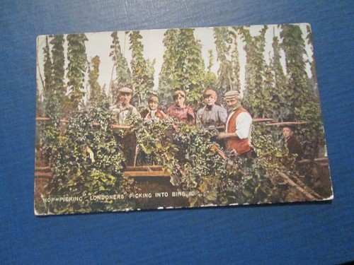 Postcard hop picking - of, hop-picking