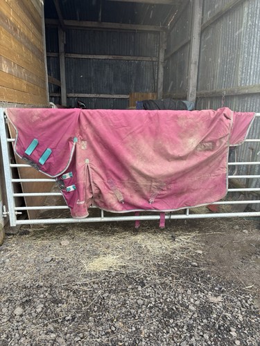 Shires highlander 300g combo