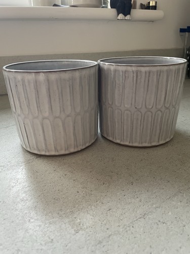 Grey plant pots set - plant,
