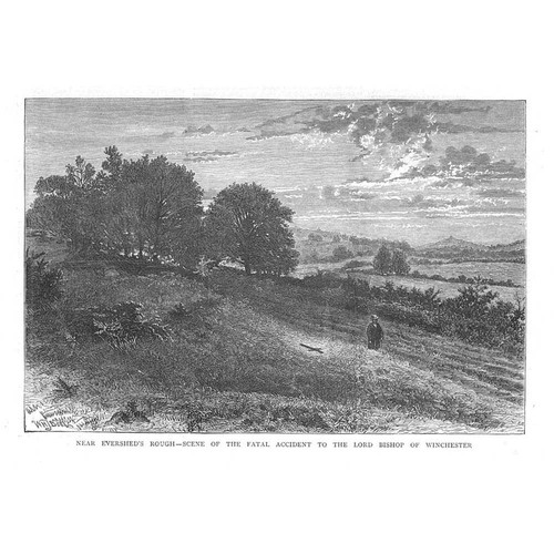Surrey scene the fatal - of,
