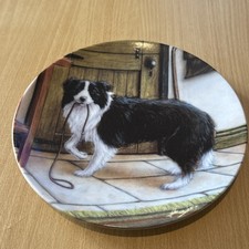 Danbury Mint The Border Collie