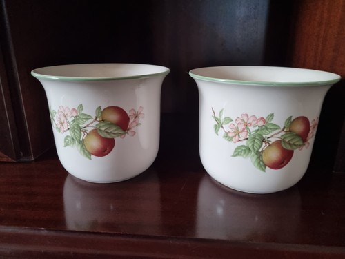 Set vintage plant - set, of