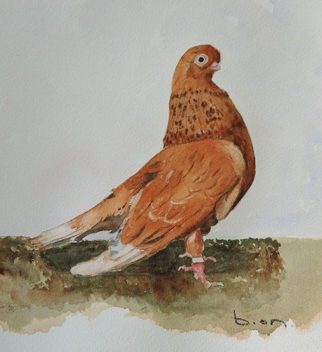 Original watercolour painting - original,