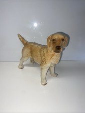 Golden Retriever Large Dog