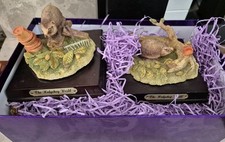 Two Beautiful Hedgehog