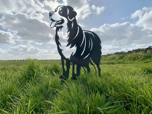Bernese mountain dog custom - bernese,