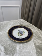 Royal Falcon Chester Zoo