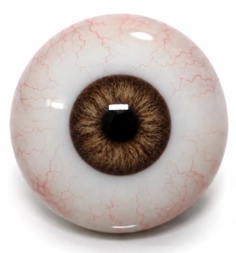 Realistic brown human eyes - realistic,