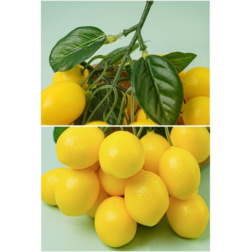 Artificial lemon string vivid - string,