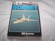 F-18 Hornet (Modern combat