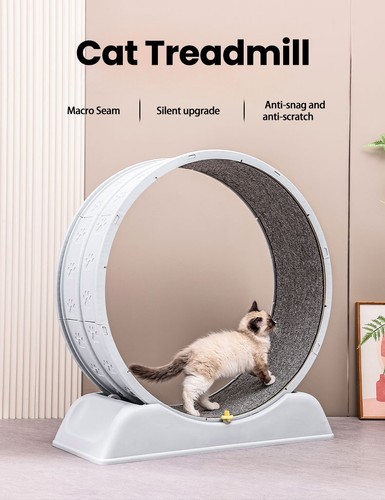 Wooden cat exercise wheel - exercise,