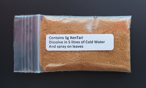 Caterpillar killer for buxus - caterpillar,