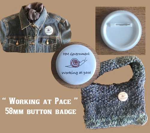 Government working pace - government,