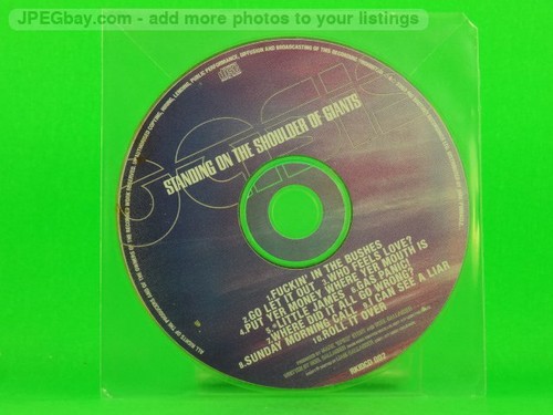 Oasis standing the shoulder - oasis,