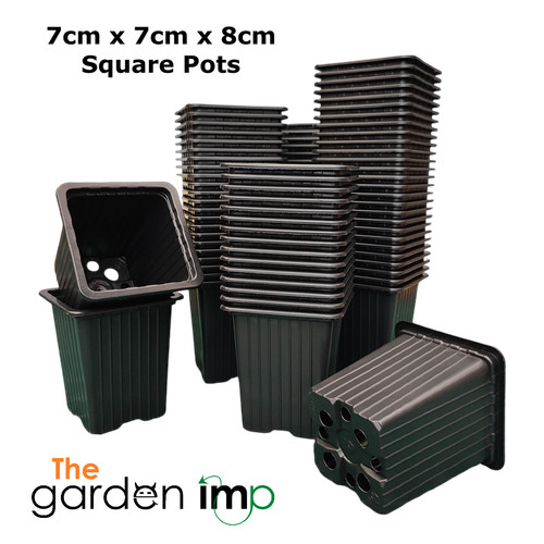 7cm square plant pots - square, black