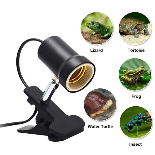 Basking heat lamp uvb light - basking,