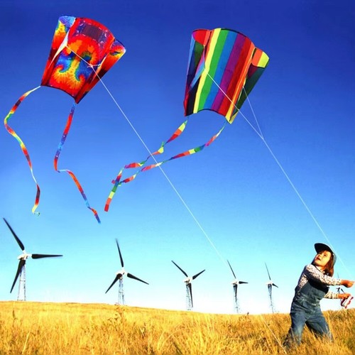 Easy fly flying kite - fly,