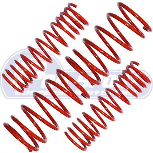 Pro sport lowering springs - pro,