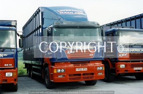 Truck photo j - j, nelson