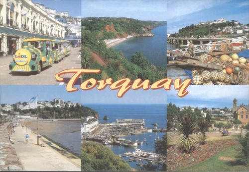Torquay postcard salmon - postcard, j.