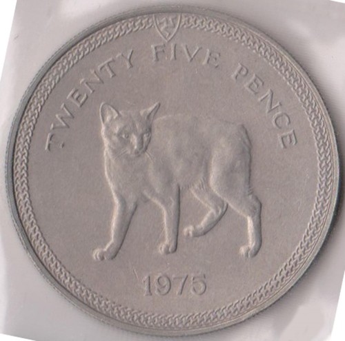 1975 isle man 25p - (h233-64),