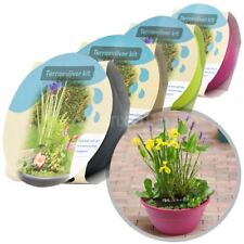 MOERINGS 3 IN 1 PATIO POND WATER PLANTS SET OUTDOOR GARDEN PLANTER BASKET POT