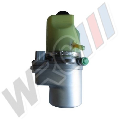 Electric power steering pump - power,