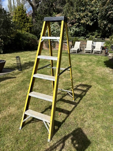 Youngman tread swingback - youngman,
