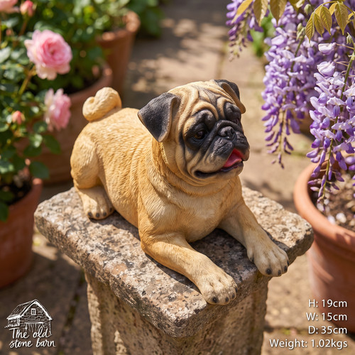 Laying dog pug bulldog - laying,