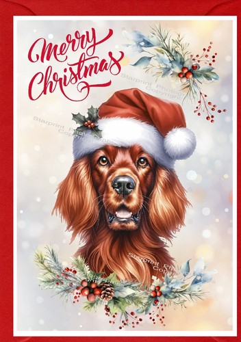 Irish setter red dog christmas - setter,