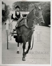1991 Press Photo Carriage