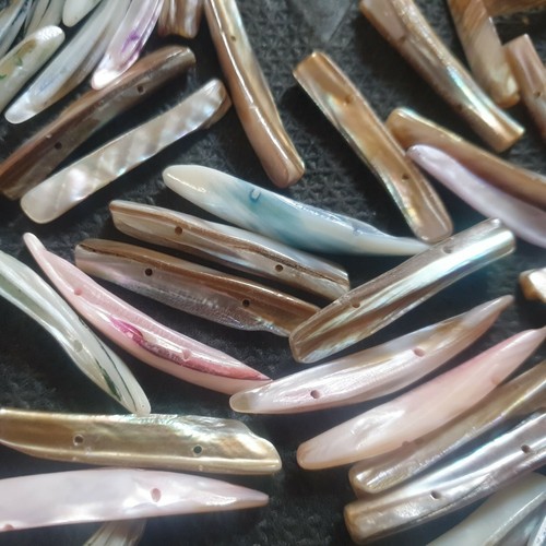 Drilled abalone shell pieces - abalone,