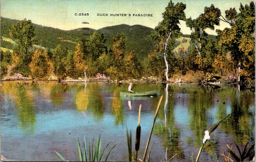 Duck hunter paradise small - duck,
