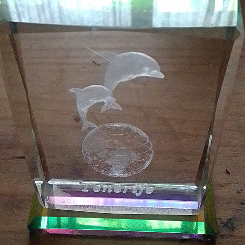 Clear glass dolphin decorative - clear,