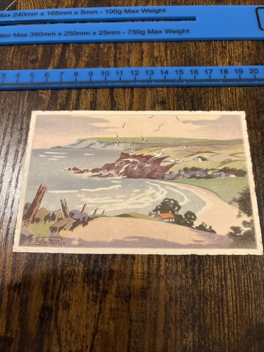 Eva porter northern ireland - porter,