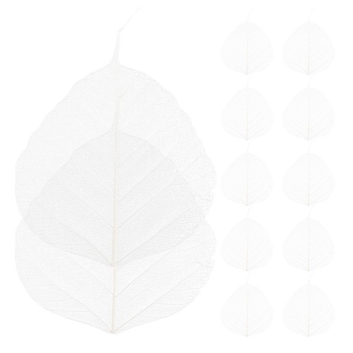 Pcs natural leaves for - 20,