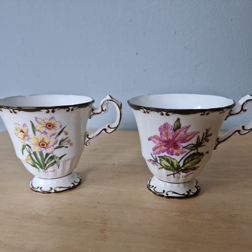 Antique coalport cup 2 - ,