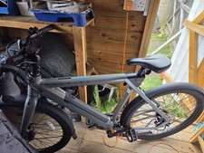 Raleigh One 2026 One Size Sage