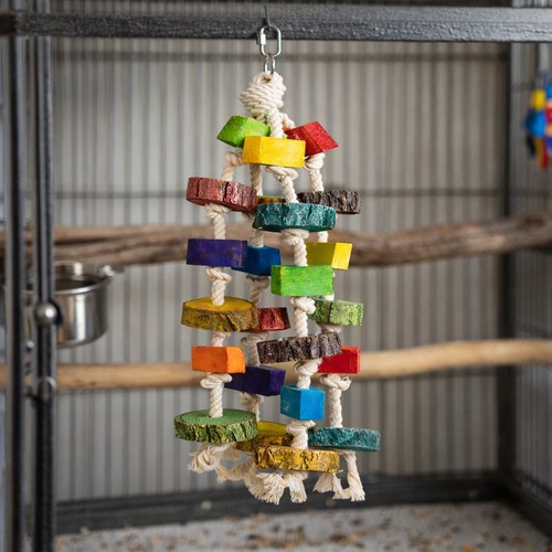 Sky pets wood wonder - sky,