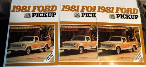 1981 ford pickup - 1981,