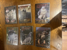 bird of prey management series for falconry