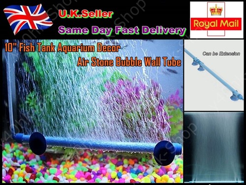Fish tank aquarium - fish,
