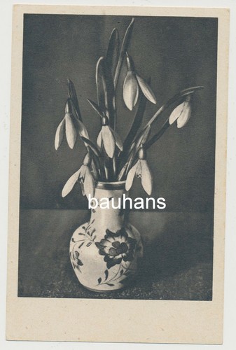 Postcard vase with flowers - ,
